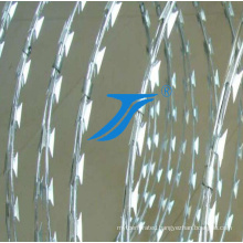 Galvanized Concertina Razor Wire Razor Barbed Wire